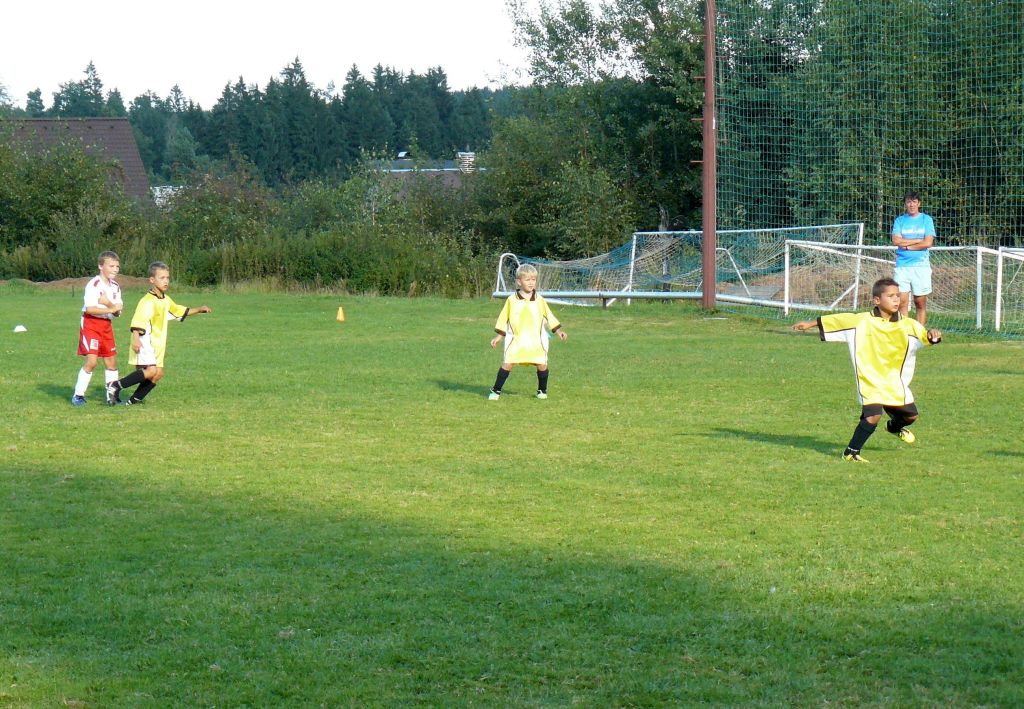 Martinice-Mírová stpř. 5.9.2013 .P1300451